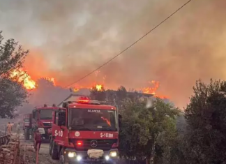 Alanya, alev alev. Muğla Köyceğiz’de yangın yerleşim yerlerine ulaştı