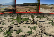 Felaket kapıda. Bursa’nın bir haftalık suyu kaldı!