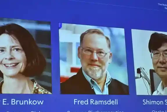 ABD’li ve Japon bilim insanları bağışıklık toleransı araştırmalarıyla 2025 Nobel Tıp Ödülü’nü kazandı