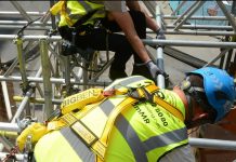 Sarı yelek, Louvre Müzesi soygununda da aldattı.