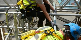 Sarı yelek, Louvre Müzesi soygununda da aldattı.