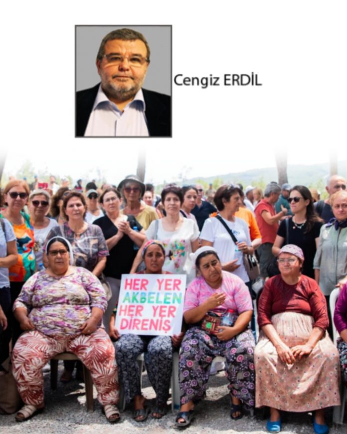 InShot_20251018_175327341