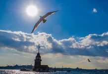 2025 yazının son gösterisi: 25-29 Ekim Pastırma Yazı…