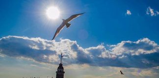 2025 yazının son gösterisi: 25-29 Ekim Pastırma Yazı…
