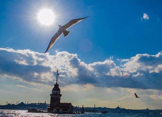 2025 yazının son gösterisi: 25-29 Ekim Pastırma Yazı…
