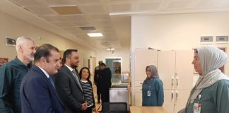 Yok olan ailenin tedavisine inceleme