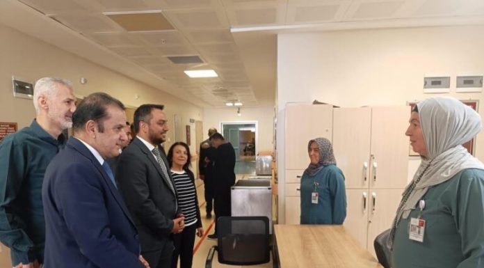 Yok olan ailenin tedavisine inceleme