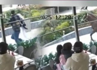 🎥O kovaladı, herkes kaçtı. İstanbul’un göveğinde vatandaşın at ile imtihanı!