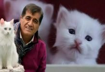 🎥Aydın Aydın,’nın ‘Miyav’ klibi dijital platformlarda fırtınalar estiriyor