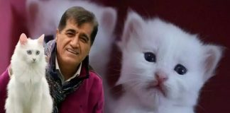 🎥Aydın Aydın,’nın ‘Miyav’ klibi dijital platformlarda fırtınalar estiriyor