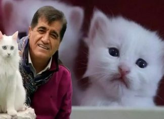 🎥Aydın Aydın,’nın ‘Miyav’ klibi dijital platformlarda fırtınalar estiriyor