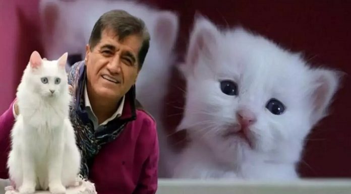 🎥Aydın Aydın,’nın ‘Miyav’ klibi dijital platformlarda fırtınalar estiriyor