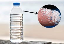 Pet şişedeki tehlike! Bir ömürde yarım ton mikroplastik!