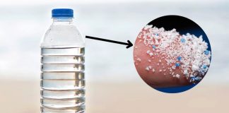 Pet şişedeki tehlike! Bir ömürde yarım ton mikroplastik!