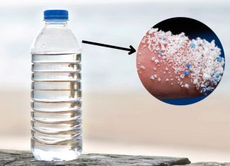 Pet şişedeki tehlike! Bir ömürde yarım ton mikroplastik!