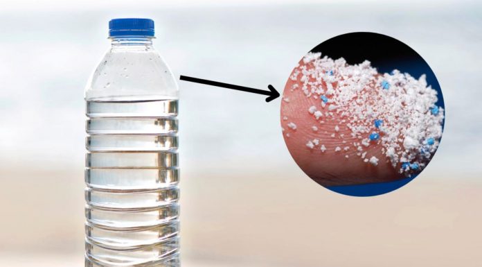 Pet şişedeki tehlike! Bir ömürde yarım ton mikroplastik!