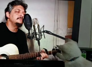 🎥 SÖYLEŞİ /Emre ÇAKMAKOĞLU / Müzisyen/Pop Rock