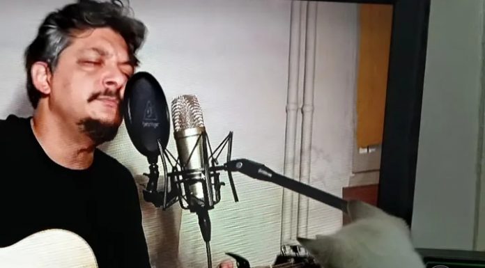 🎥 SÖYLEŞİ /Emre ÇAKMAKOĞLU / Müzisyen/Pop Rock