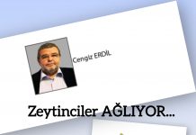 Cengiz ERDİL; ZEYTİNCİLER DE KAN AĞLIYOR