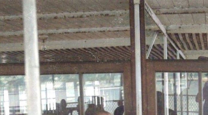 İsmet HERGÜNŞEN; Ölümsüz Kurtarıcıya Minnetle