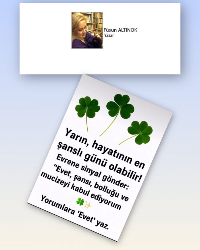 InShot_20251113_200734068