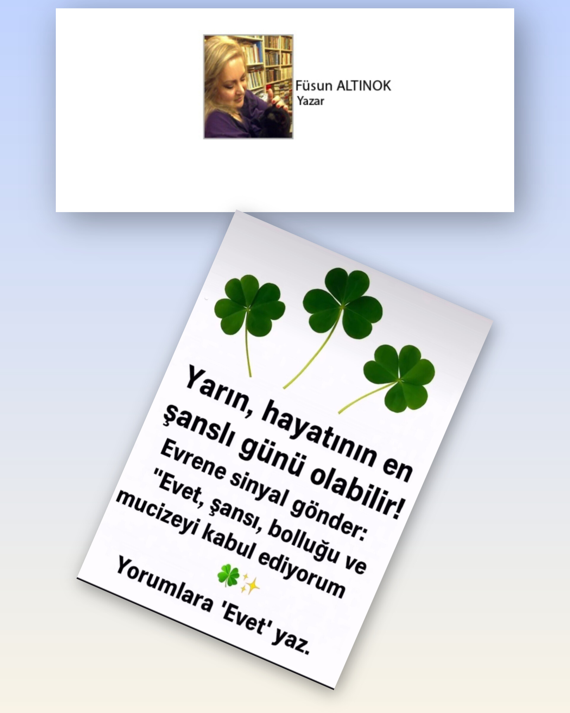 Füsun ALTINOK; Frekans ARANIYOR!