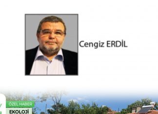 Cengiz ERDİL; SARIALAN MI? SARI ALTIN MI?