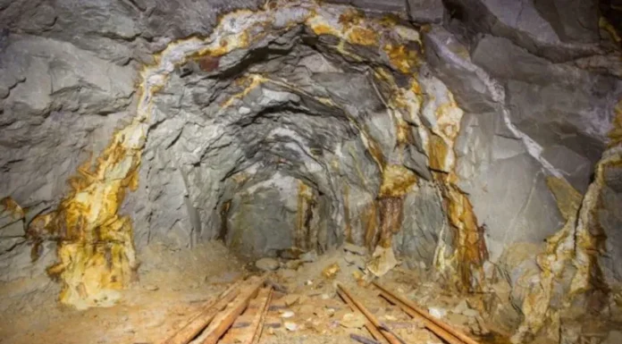 Tarihi altın keşfi