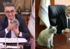 Şükür, bunu da gördük; Bayrampaşa belediyesinin kedisi ‘Bulut’un yerine kayyım atandı!