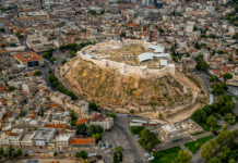 O ilde herkes tedirgin. Havadan adeta bit yağıyor!