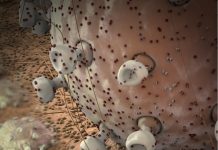 Bilmsel Çalışma: Kanseri kontrol etmede mutluluk hormonunun temel kriter olduğu bulundu.