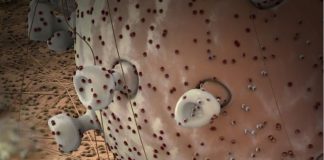 Bilmsel Çalışma: Kanseri kontrol etmede mutluluk hormonunun temel kriter olduğu bulundu.