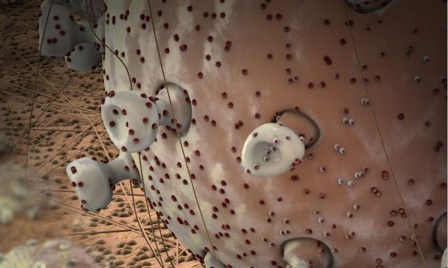 Bilmsel Çalışma: Kanseri kontrol etmede mutluluk hormonunun temel kriter olduğu bulundu.