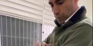 📽️ İstanbul’da kaçak Afrika aslanı.