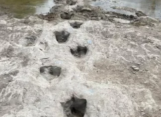 Kuzey İtalya’da dinozor ayak izleri