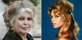 Fransız sinemasının efsanesi Brigitte Bardot yaşamını yitirdi