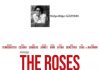 🎥 Hülya Bilge GÜLTEKİN; The Roses: Sessizlikten Yangına