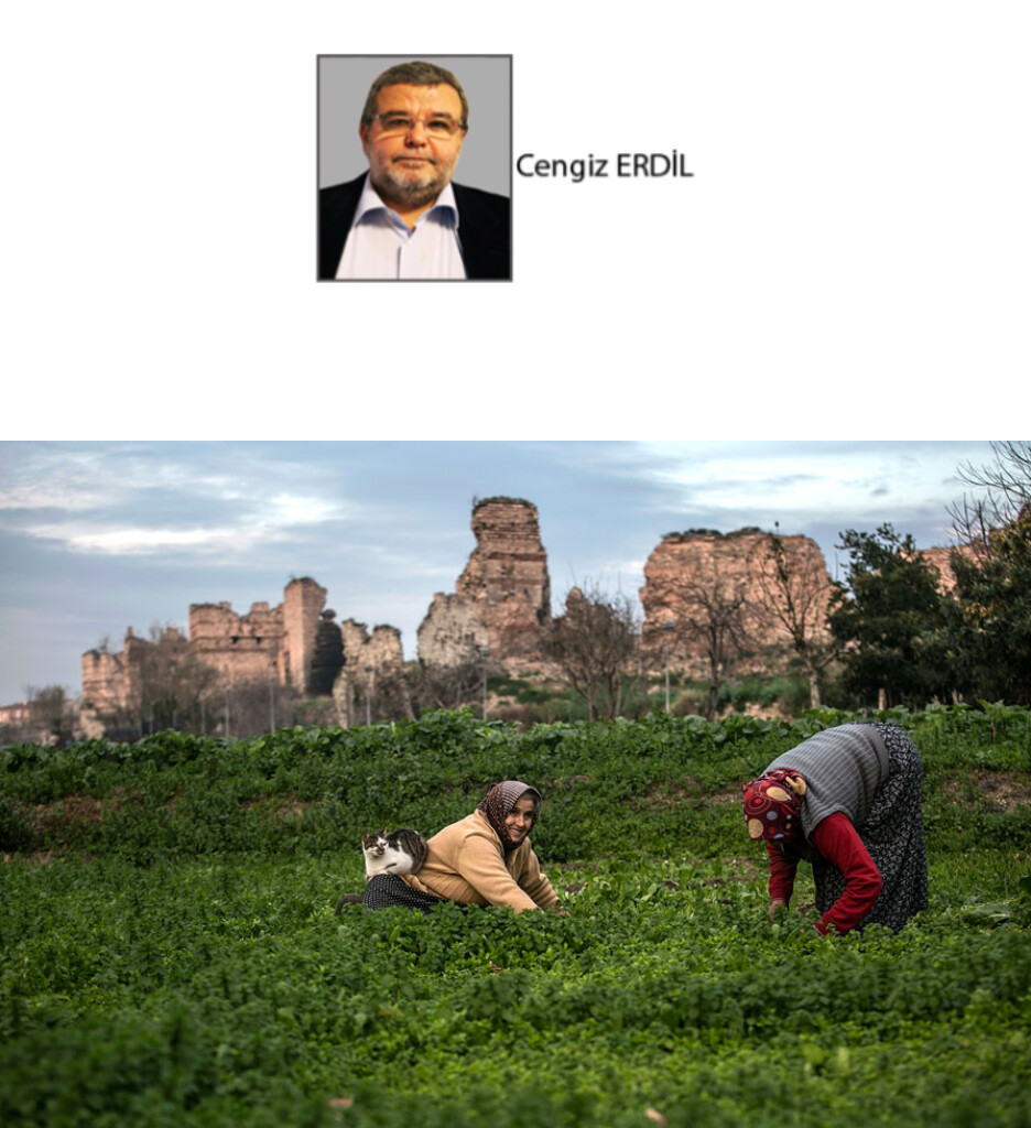 Cengiz ERDİL;      “İNSAN YEDİĞİDİR” 