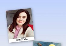 İrem SEVAL; KITALAR ARASI REN GEYİĞİ SEFERLERİ