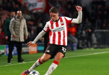 Joey Veerman, Fenerbahçe’de