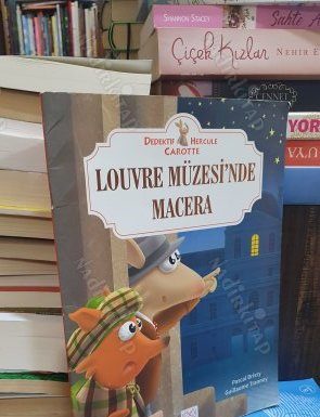 Louvre Müzesi’nde çalkantılar bitmiyor: Su basması sonucu yaklaşık 400 nadir kitap hasar gördü