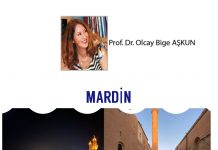 Olcay Bige AŞKUN; Masal Şehri Mardin’e Yolculuk…..