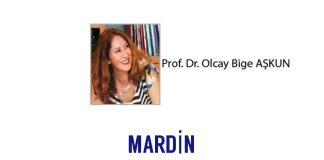 Olcay Bige AŞKUN; Masal Şehri Mardin’e Yolculuk…..