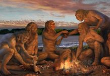 Tarih yine ‘çuvalladı!’ Ateş, tarihin yazdığından 350 bin yıl önce kullanılmaya başlanmış.