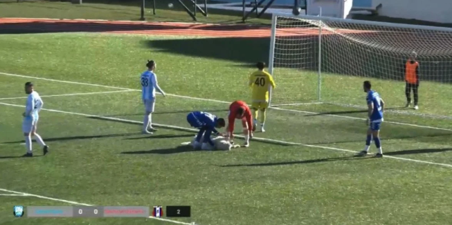 tunceli sahada köpek