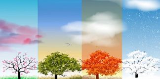 İstanbul: Karın arkası lodos, sonrası yağmur ve başa dönecek; yine kar.