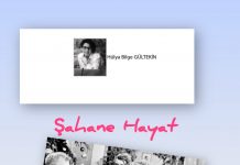 Hülya Bilge GÜLTEKİN; Şahane Hayat; Sessiz Bir Kahramanlık 🎥