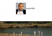 Cengiz ERDİL; BETONA YENİLEN BİR ÇİFTÇİNİN ÖYKÜSÜ