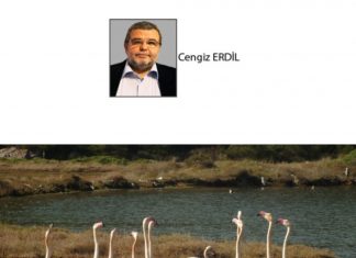 Cengiz ERDİL; BETONA YENİLEN BİR ÇİFTÇİNİN ÖYKÜSÜ