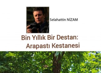 Selahattin NİZAM : 🎥Toroslar’ın Bilge Ruhu: İbradı Gezi Rehberi
